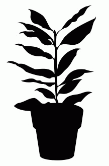 House Plant 6 Free DXF File