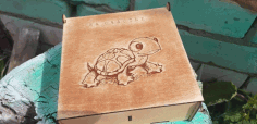 Laser Cut Box With Turtle Engraved 3mm Free Vector File