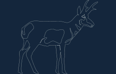 Pronghorn Free DXF File