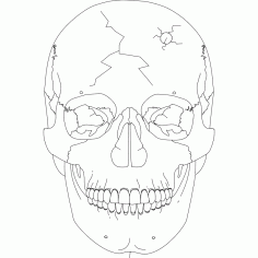 Skull 2 Free DXF File
