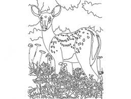 Animal Bambi Free DXF File