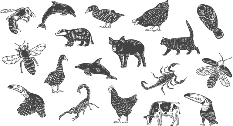 Animal Set For Laser Cutting Free Vector File