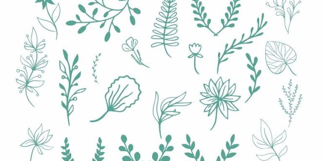 Decor Plants Leaves Free DXF File