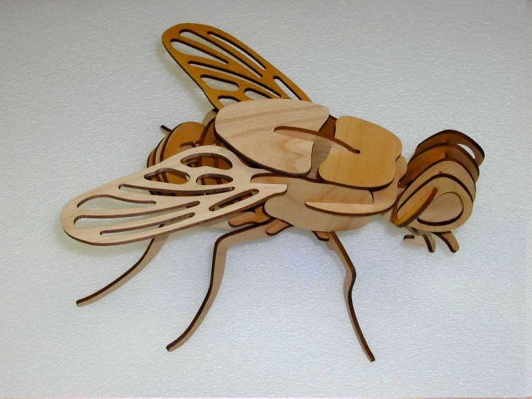 Fly Layout For Laser Cutting Free DXF File