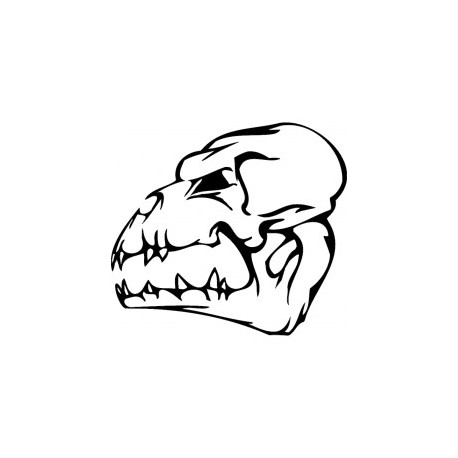 Horror Skull Bird Head 003 Free DXF File