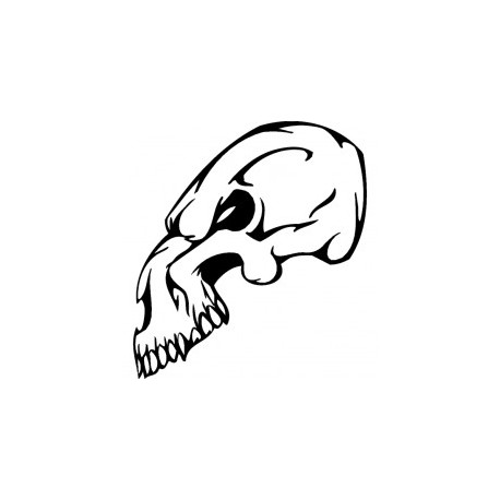 Horror Skull Bird Head 017 Free DXF File