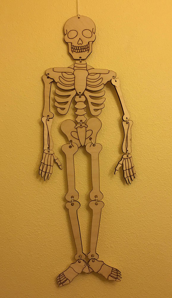 Laser Cut Skeleton Free Vector File