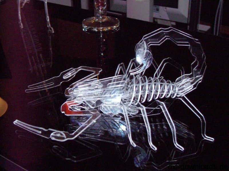 Scorpion 3d Puzzle Free DXF File